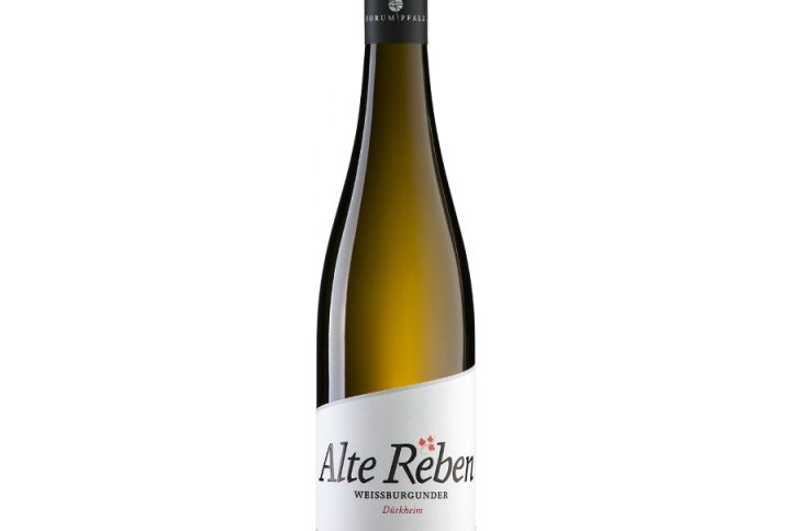 HANEWALD-SCHWERDT ALTE REBEN WEISSBURGUNDER, WINO, niemieckie wino , wino białe, wino wytrawne, wino beczkowe , Pinot Blanc